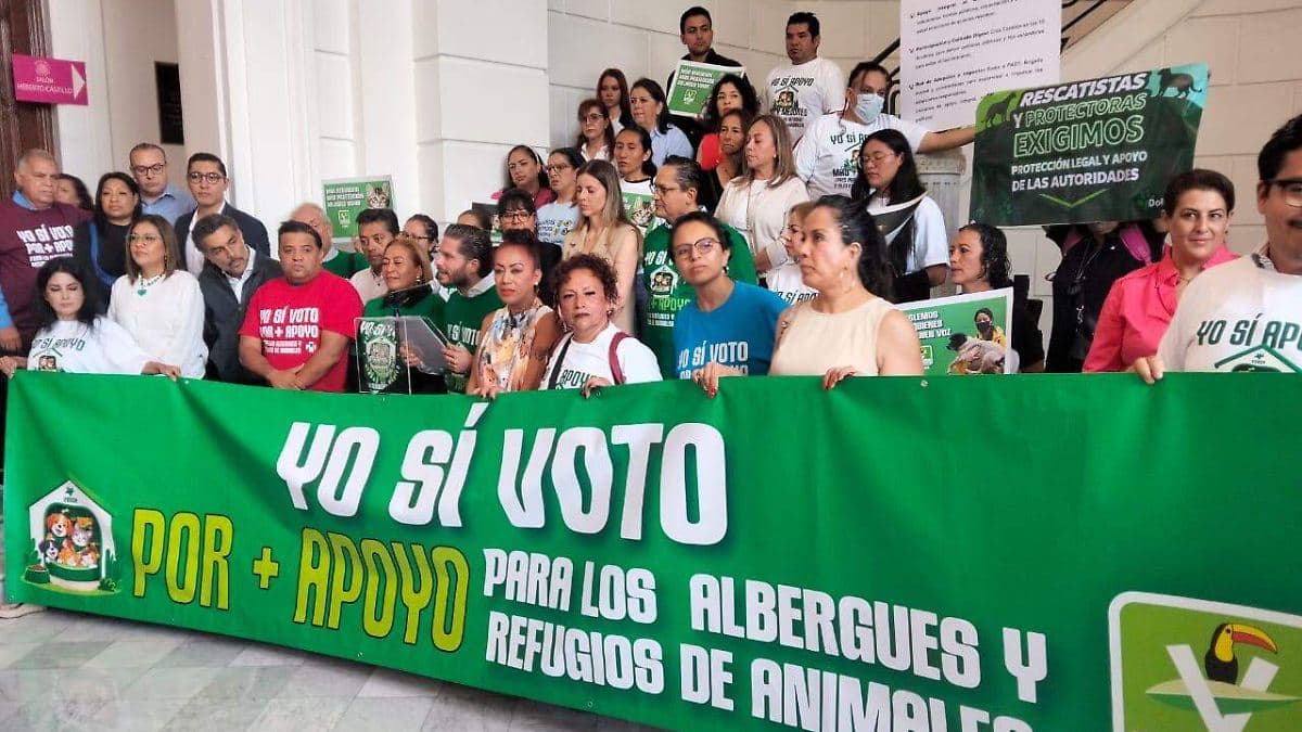 Proponen padrón oficial de refugios y rescatistas de animales por alcaldía en CDMX