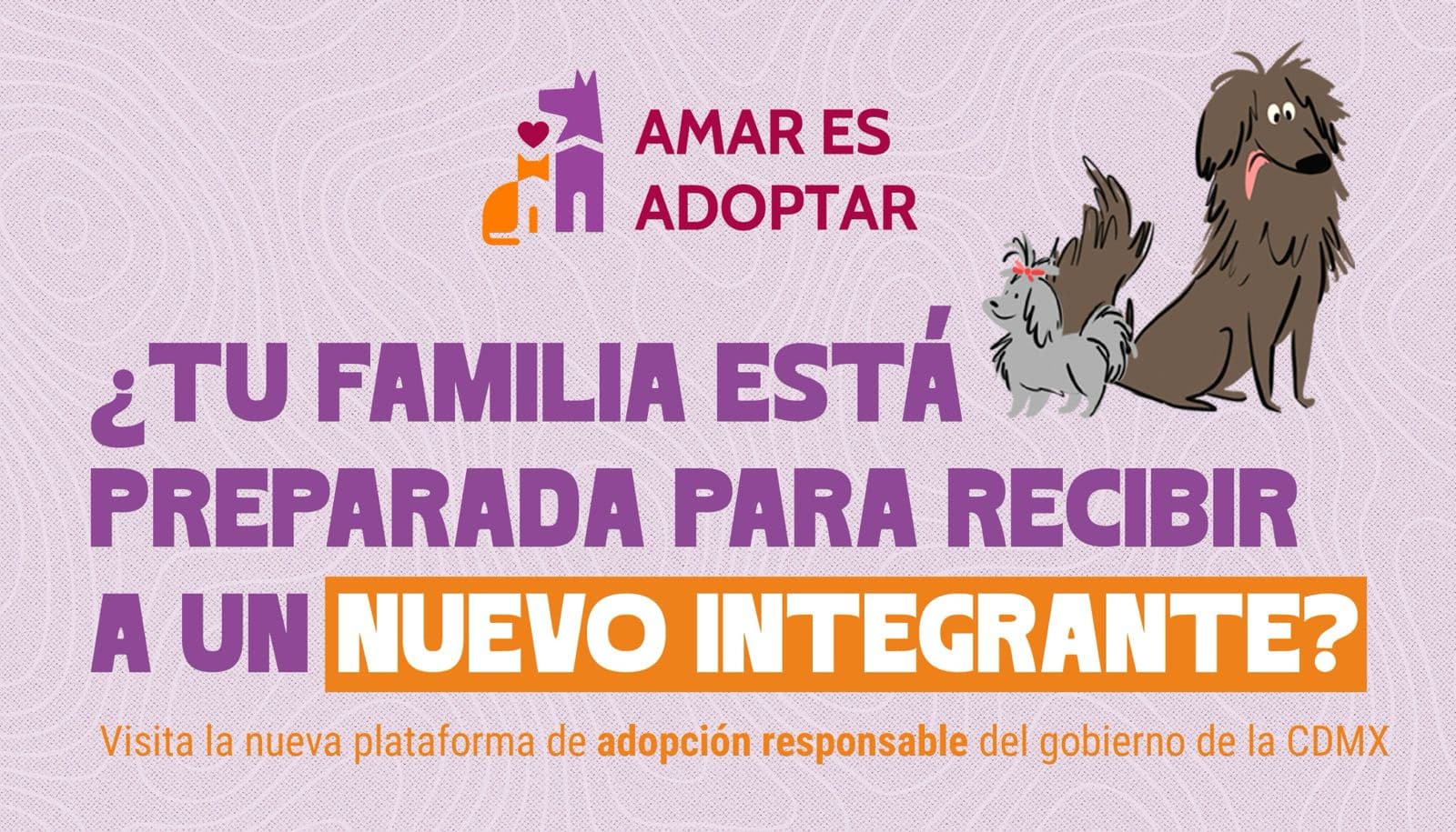 INICIA GOBIERNO DE LA CDMX PROCESO DE ADOPCIÓN RESPONSABLE DE PERRITOS RESCATADOS